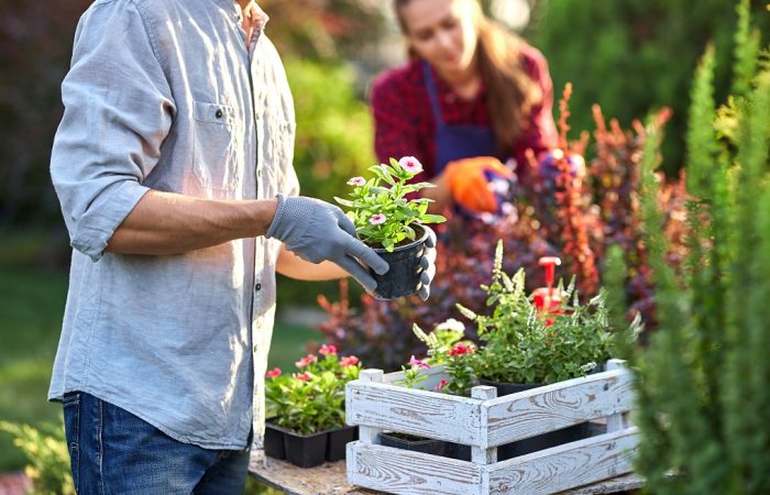 Tips for Creating a Welcoming Garden
